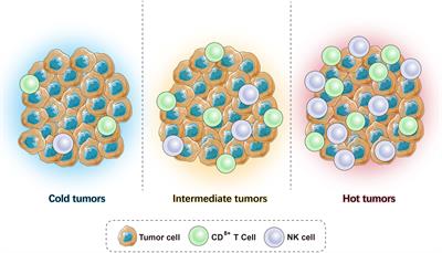 Immunological Classification of Tumor Types and Advances in Precision Combination Immunotherapy